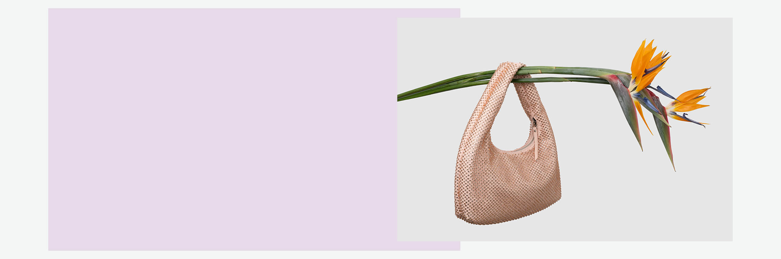 Utilize para exclusivo online